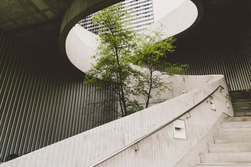 tree planted in the middle of a concrete stairwell helping make it more eco-friendly
