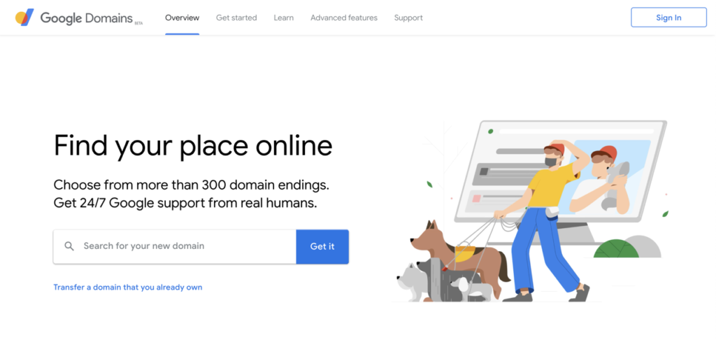 a screenshot of google domains service