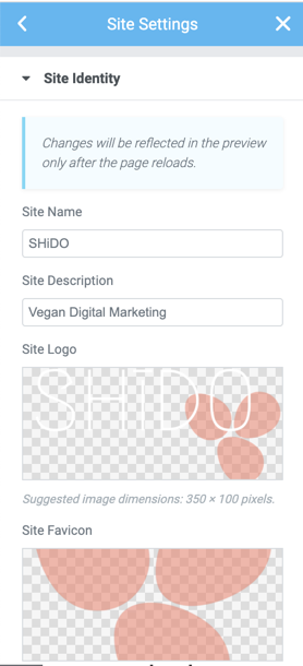site identity sitewide settings in Elementor screenshot